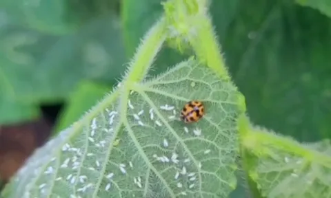 This is satisfying to watch