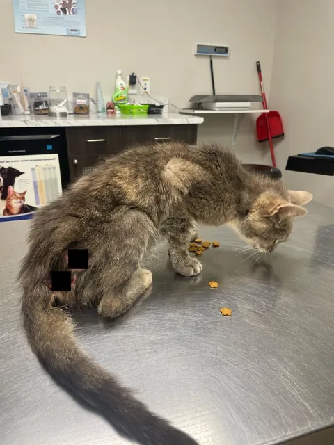 Teva Day 1 / Day 121