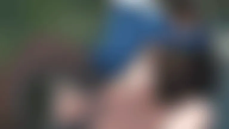 Shark Signals [Kinkymation]