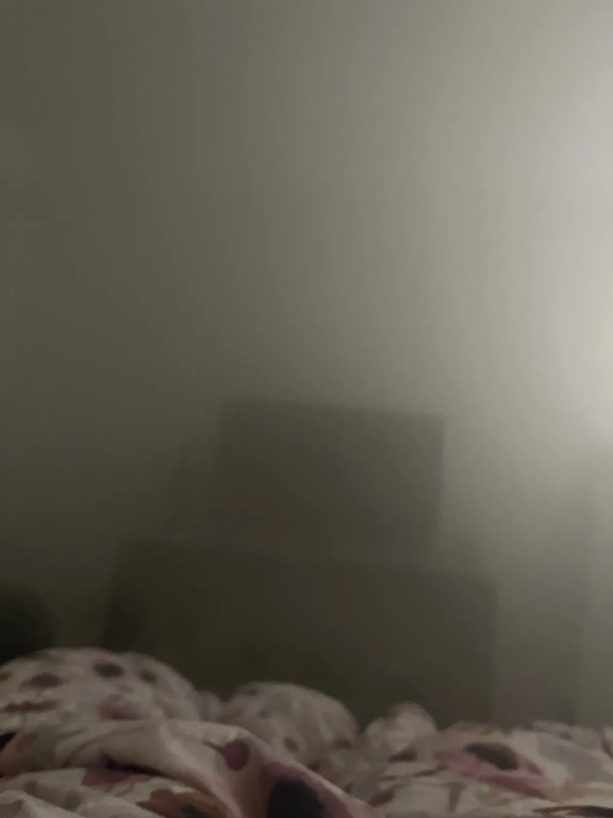 Got my girlfriend a humidifier for Christmas.  This was her room when we woke up.