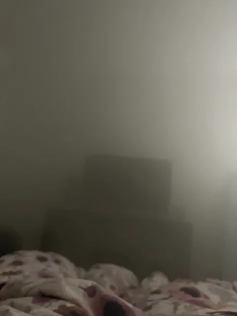 Got my girlfriend a humidifier for Christmas.  This was her room when we woke up.