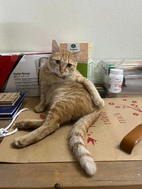 My roommate is unemployed and has a bad posture, roast him