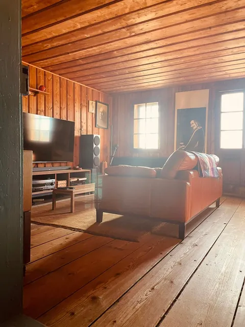 morning sun hitting my wood-paneled home office