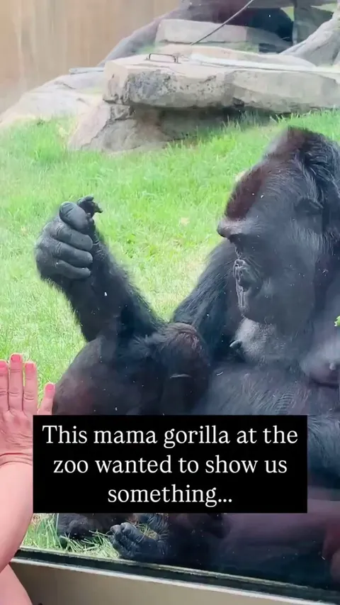 The kisses 🥹 -- Lacie Daniels