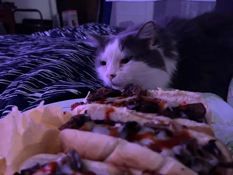 [homemade] mushroom, onion and swiss dogs