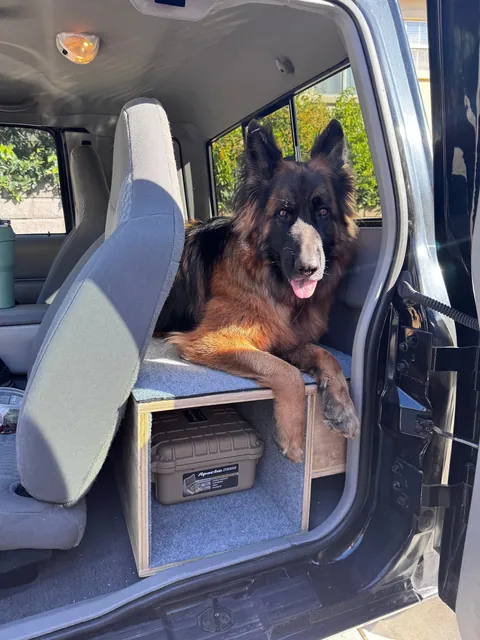 Update: as requested - the dog to complete the DIY truck box 