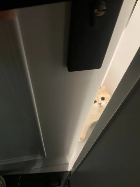 For some reason, it’s always staring at me.