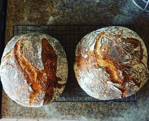 [Homemade] Loaves of bread