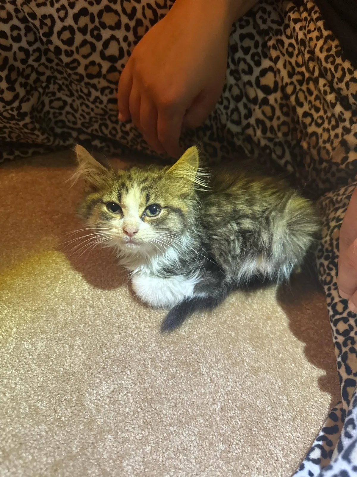 Found this little guy right at our door