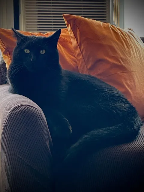 I’ll never understand how some people can say they’re not photogenic 