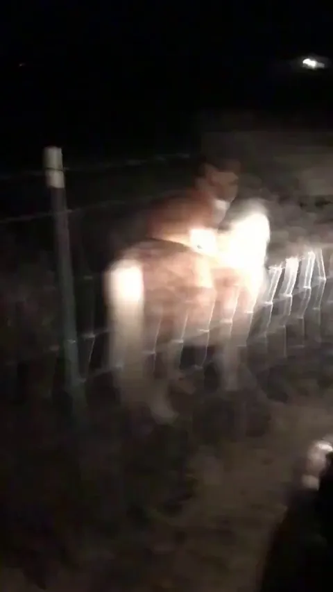 A woman was shocked to discover her neighbor's Corgi was sneaking onto her property at night and... riding her pony.