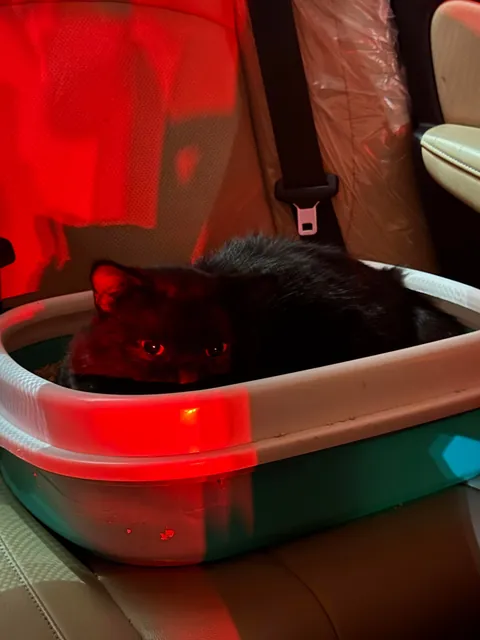 First Time Posting Him