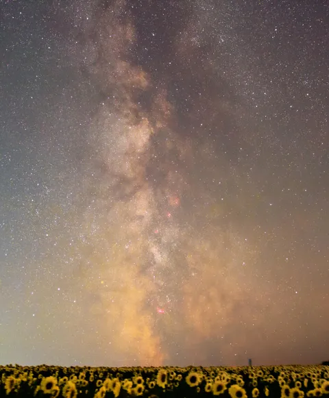 Summer nights Nova Scotia Canada
