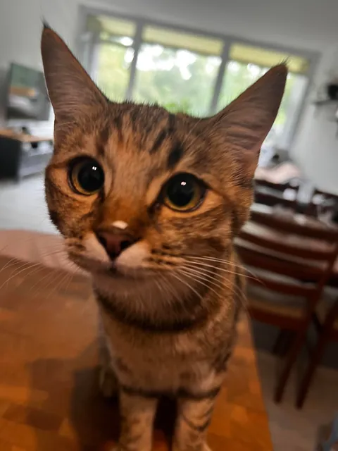 I wasn’t paying attention for literally 5 seconds 💀