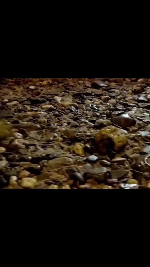 This ship equipped with a mobile diving bell, that can be lowerd directly into the riverbed and allows you walk on it