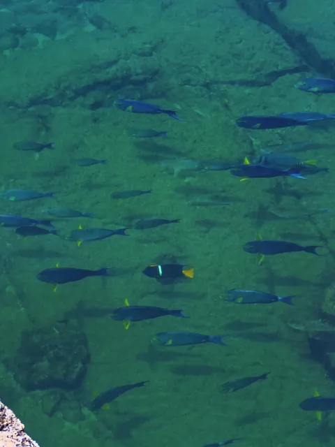 5 days in Galapagos in Sep 2025.