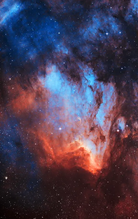 The Pelican Nebula