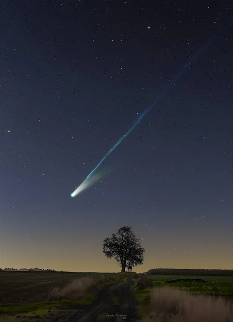 Comet Lemmon at its best