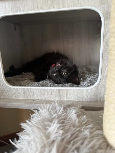 What would you name her?