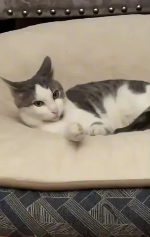 “Are you going to do something about this?” - Both