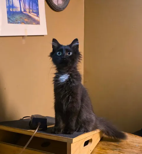 Scanning the room, searching for trouble 😂