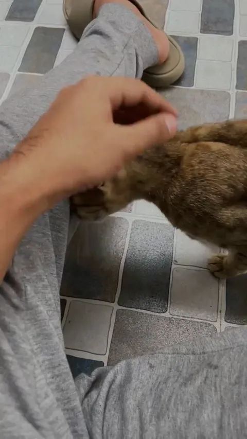 Who taught her these flirting skills 😭