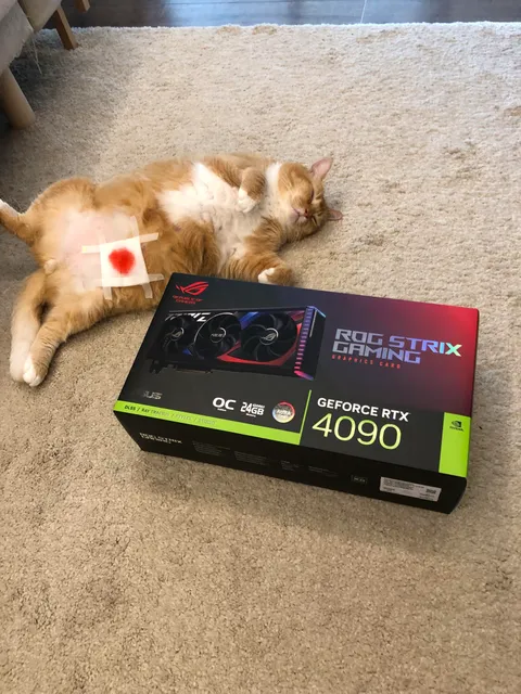 Alan Wake 2 finally pushed me to get a 4090. Had to sell some kidney but still got 6 of these critters left.