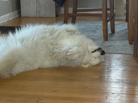 Was telling her all about Dow futures this morning she’s super interested