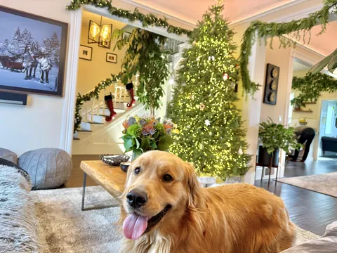 A savored cozy moment