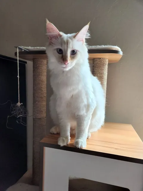 Our boy's growth over the past couple years