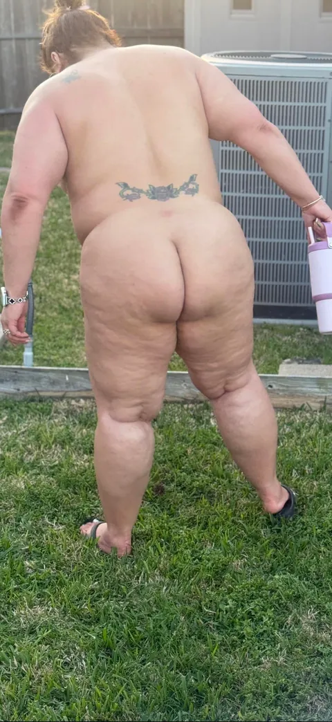 Assortment of Bbw pics