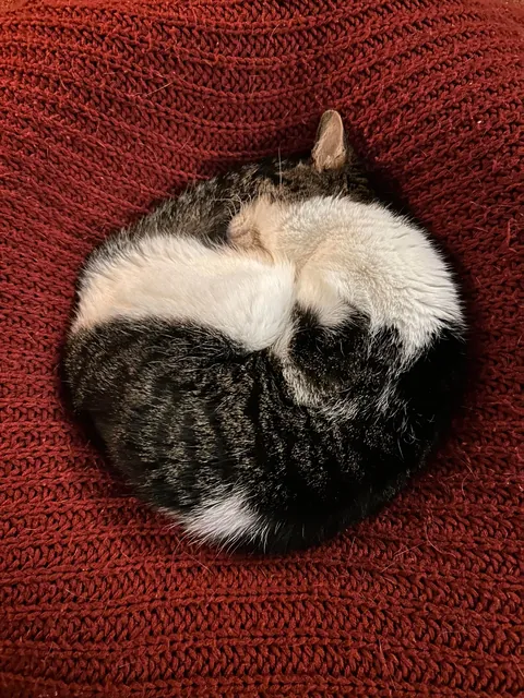 She held on for her 20th Christmas before letting go