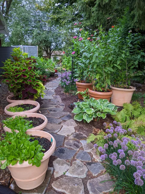 Secret garden path to my restful space where I bird watch.