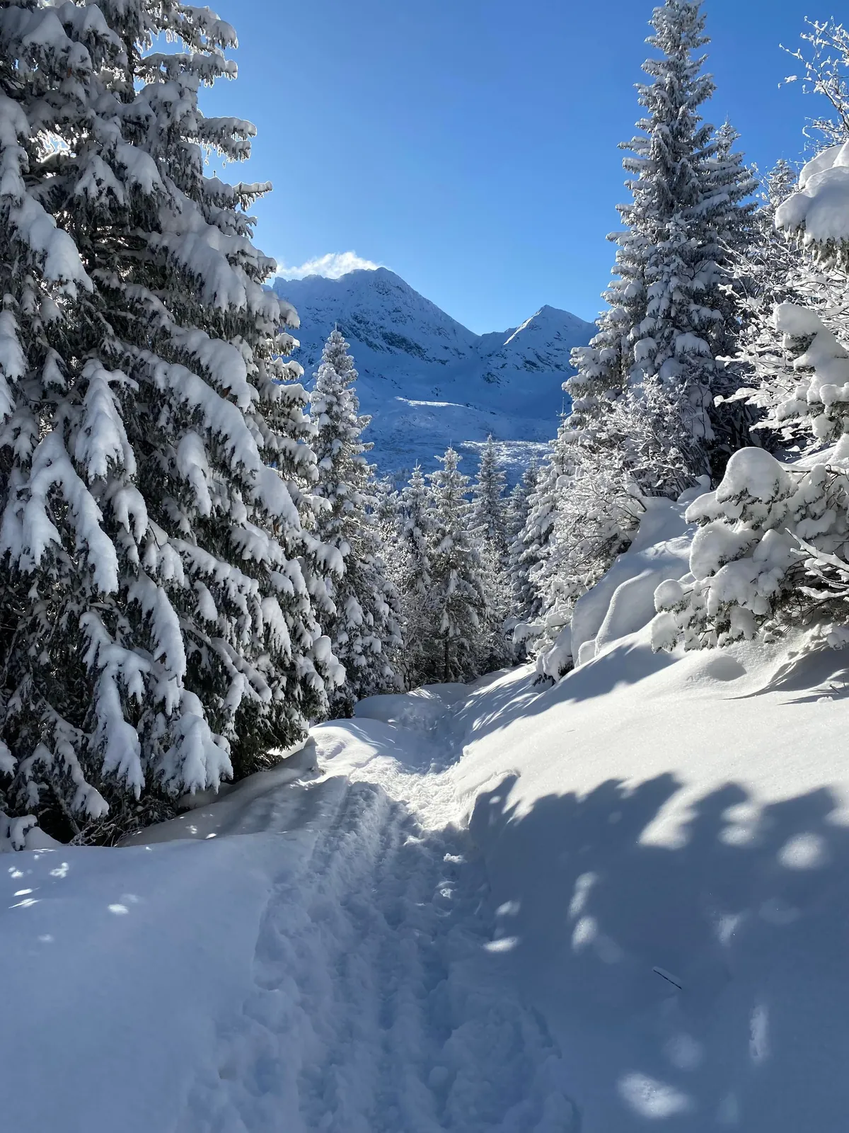 Four days in Poland (Warsaw, Krakow and Tatra mountains), late november 2024