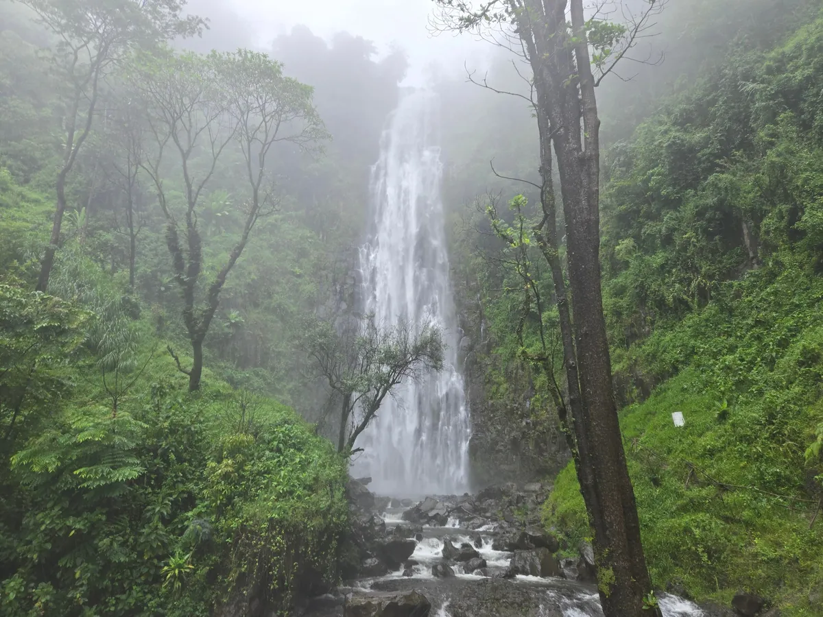 The Beauty of Tanzania