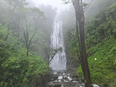 The Beauty of Tanzania