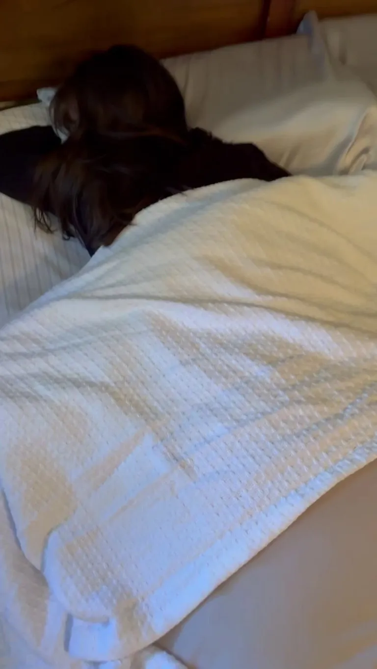 I told him that I am always available for a creampie anytime he wishes with no restrictions 