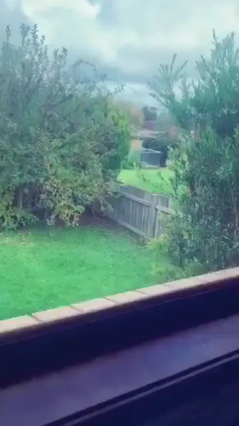 Finding a friend over the fence