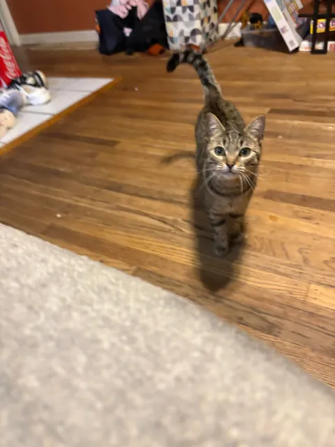 Why is she so short? She’s 1 years old now.