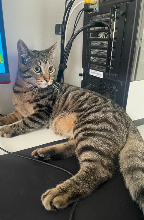 My co- worker for today