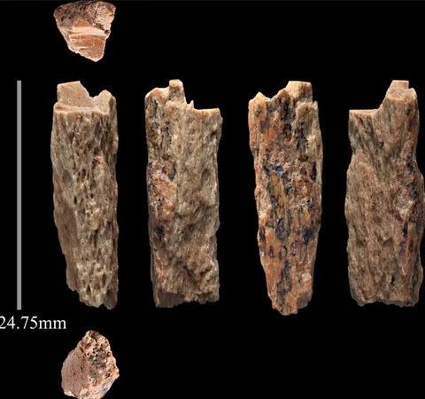 This is Denny, the only known first generation human hybrid, with a Neanderthal mother and Denisovan father