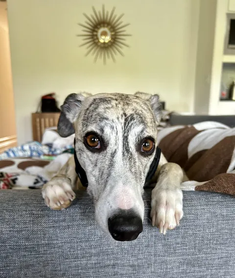 Rupert rocking is guyliner.