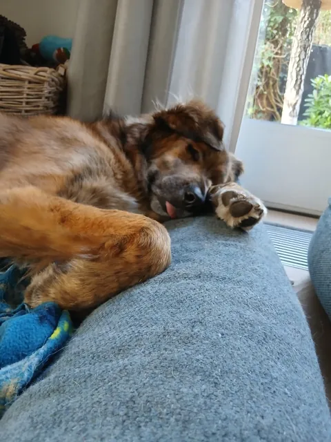 My girl Mandy (Mlemdy)