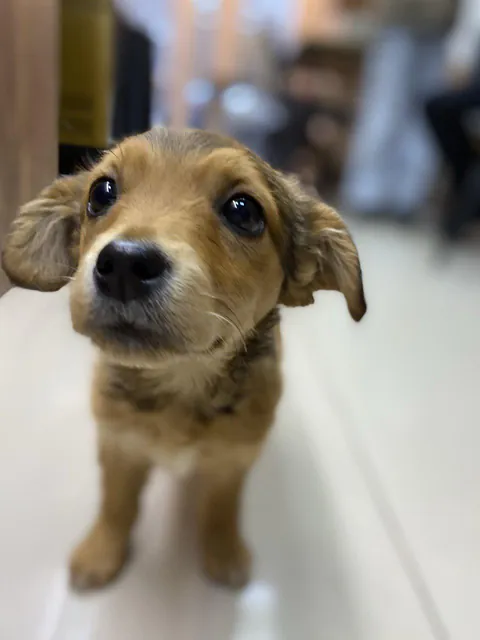 He looked at me like this and I forgot what I was mad about 🥺