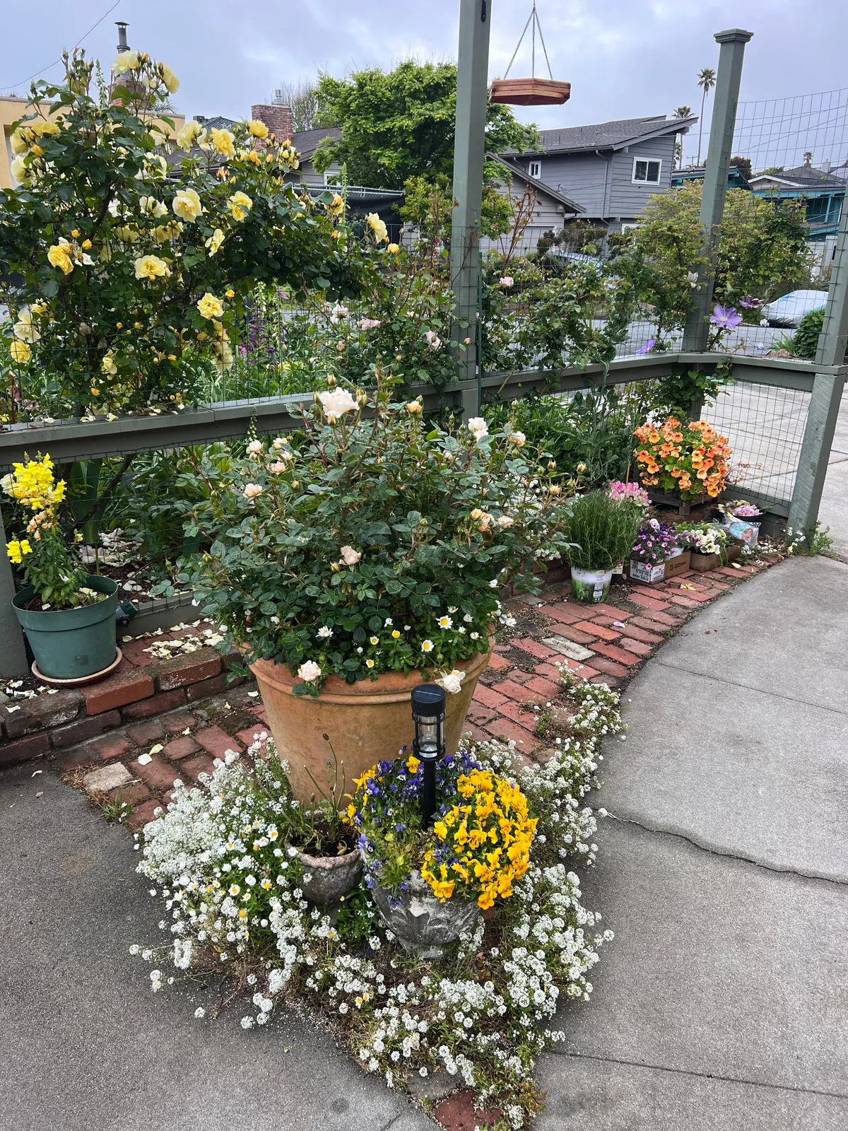 If you love your garden, she’ll love you back.