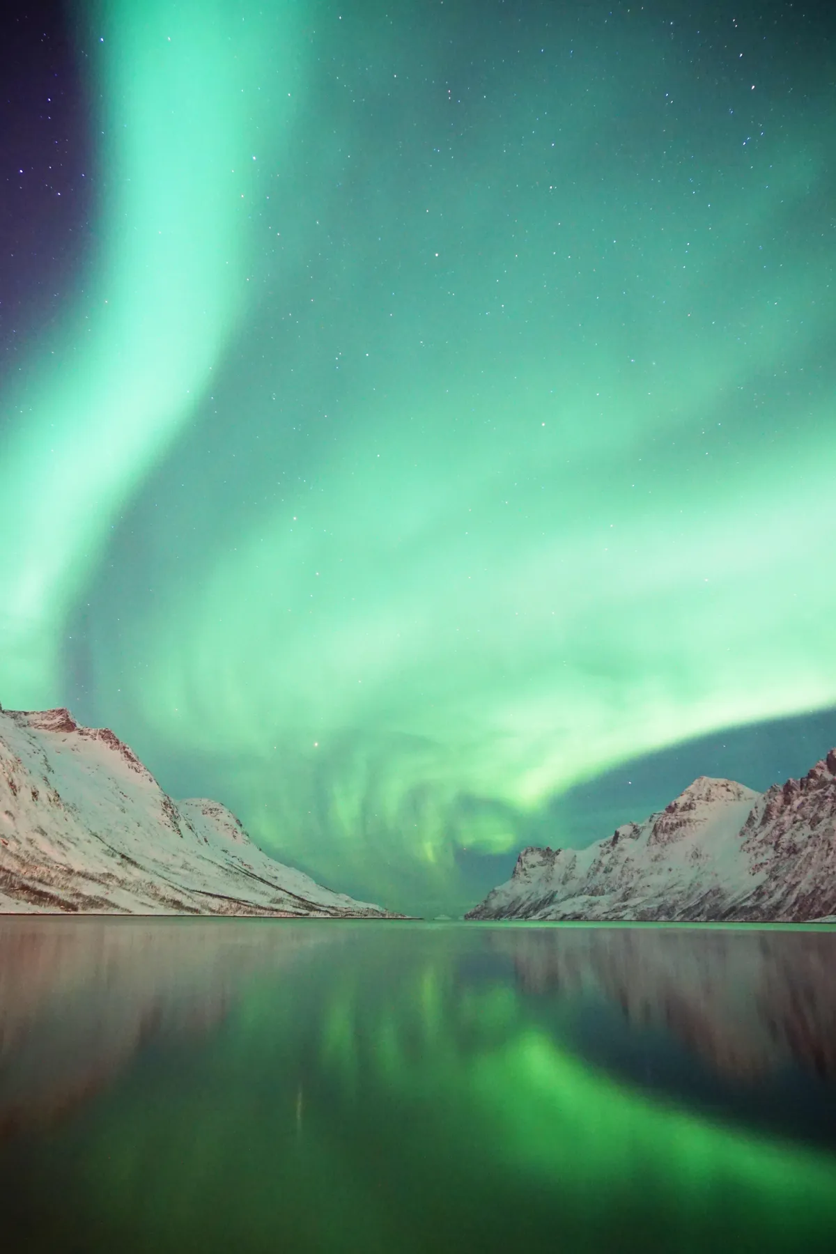 Ersfjordbotn in Tromso region (Norway) during the Northern lights [4000x6000] [OC]