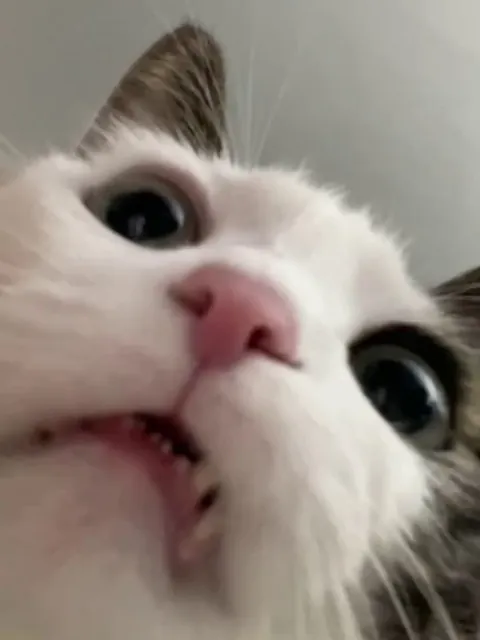 I promise there is sound, it's just very, very exclusive.