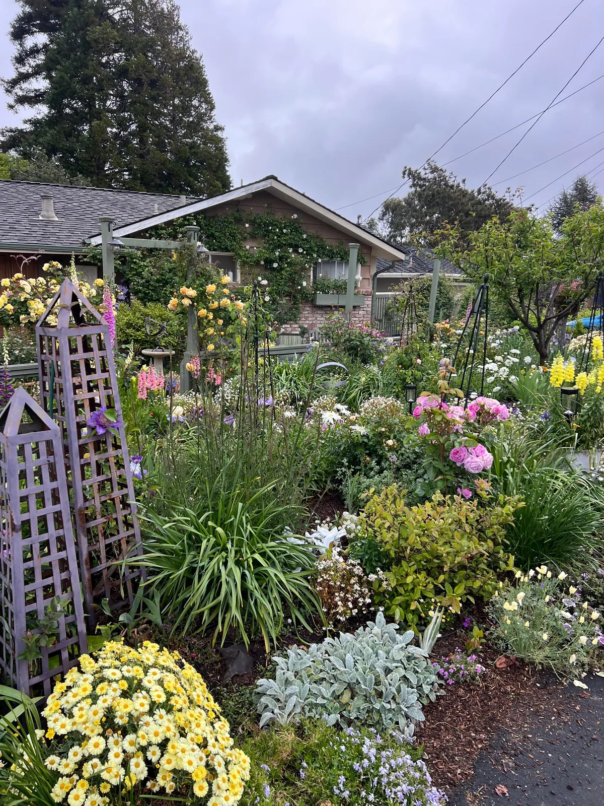 If you love your garden, she’ll love you back.