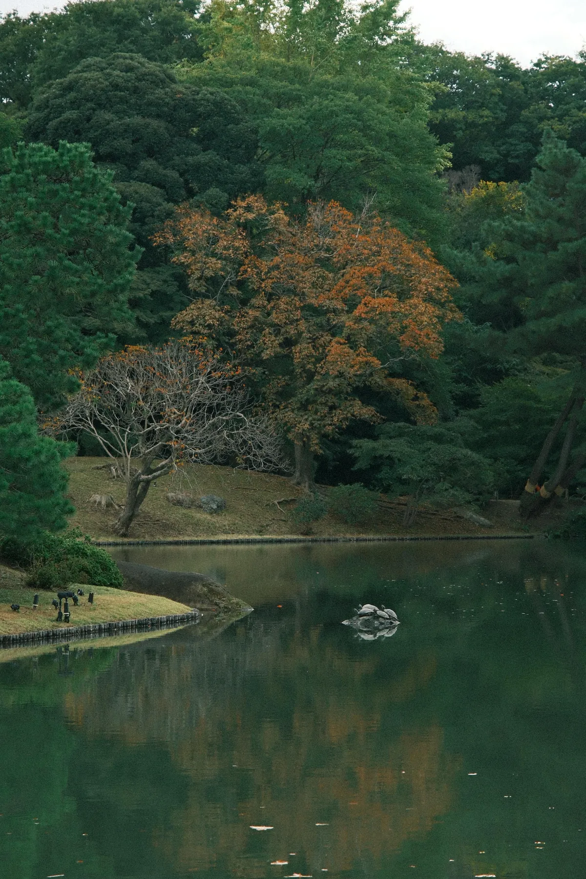 Our First 4 Days in Tokyo 🇯🇵