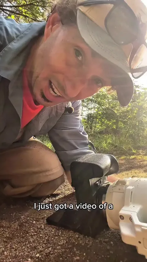 🔥Dragonfly Kicking Ant